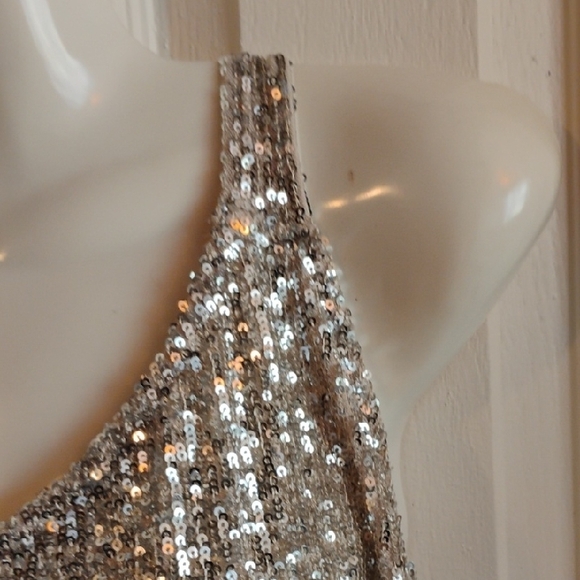 Daytrip Silver Sequin Tank Top - Picture 9 of 15